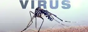 virus